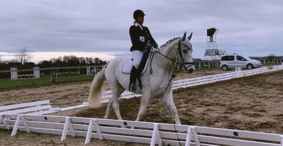 Apprendre et dérouler une reprise de dressage