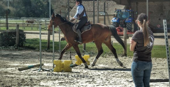 Mauvaise expérience à l’obstacle, quel exercice pour repartir sur le bon pied ?