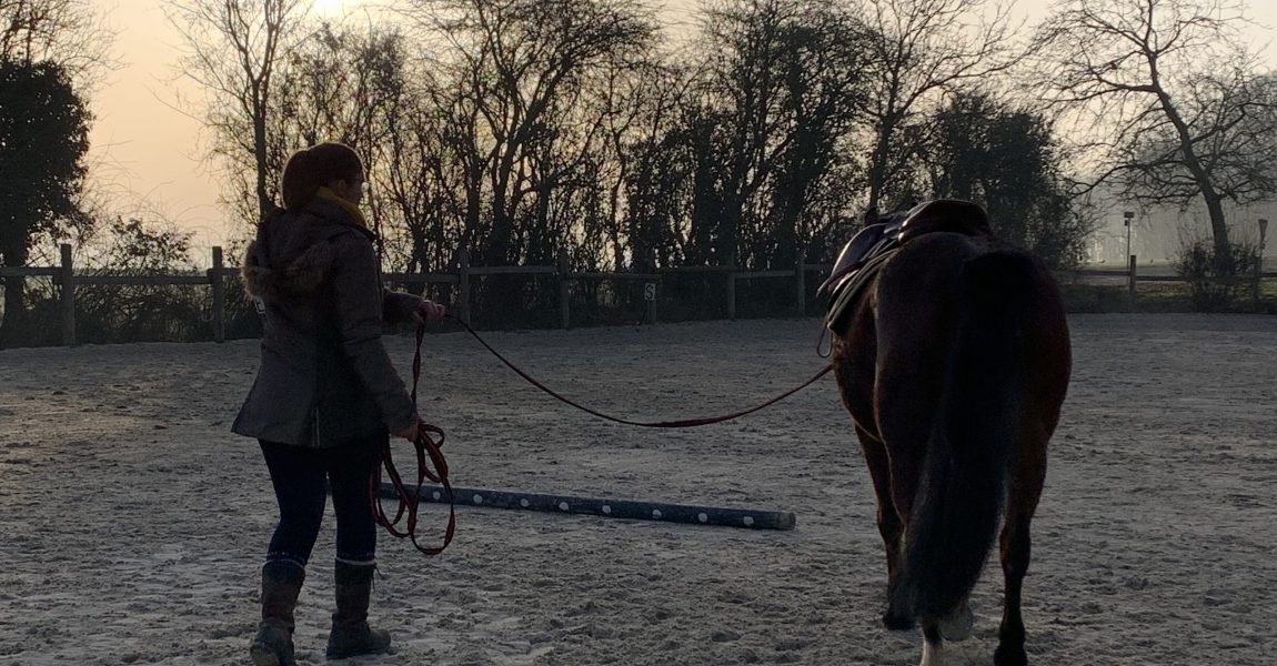 diversifier-longe-cheval